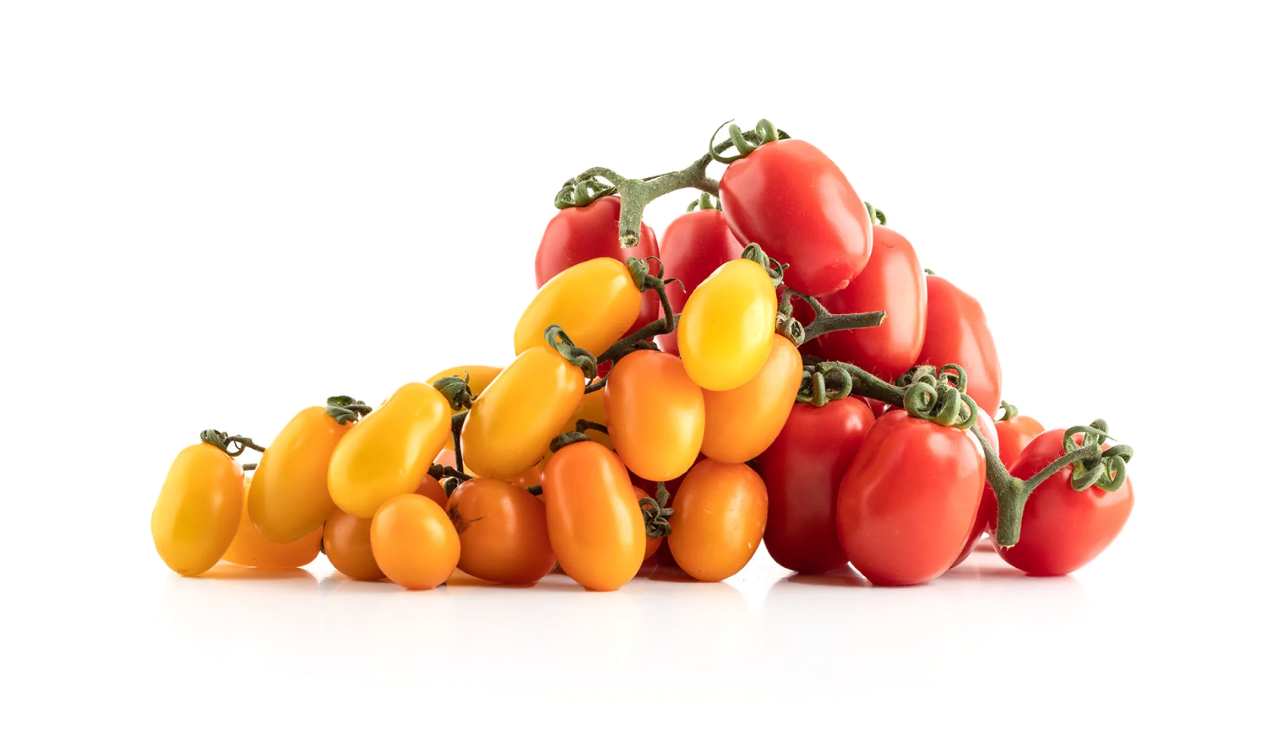 Gocce di sapore icon