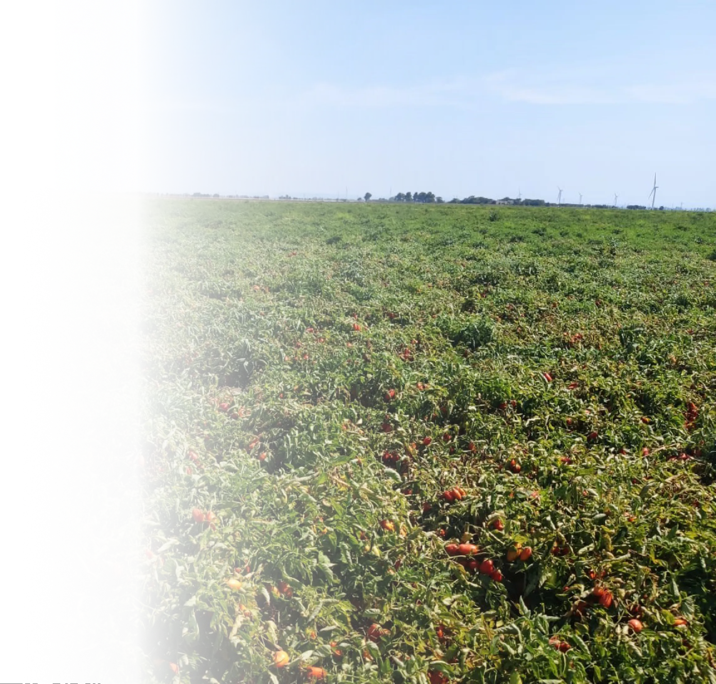 High Holding Ability products