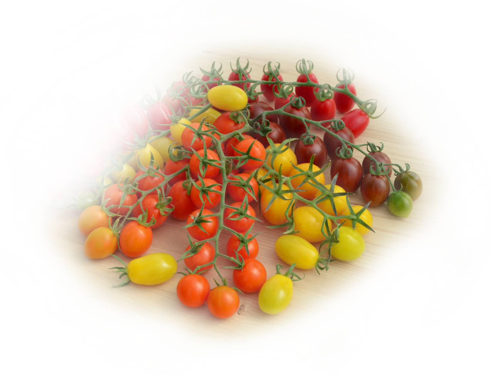 Tomato varieties image